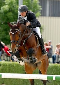 Lucas Sporthorses - Breeding